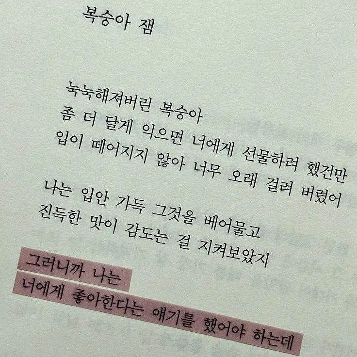 SoftKite3810의 「Older」