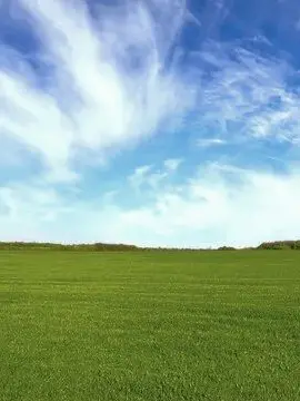 ItchyDam7263의 젤리 먹고싶다.