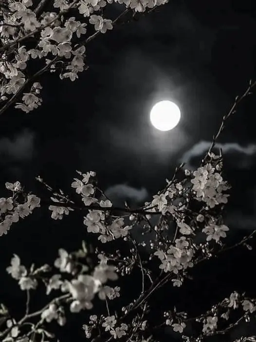 goat.2850146의 미수반이 어려져버렸다?!