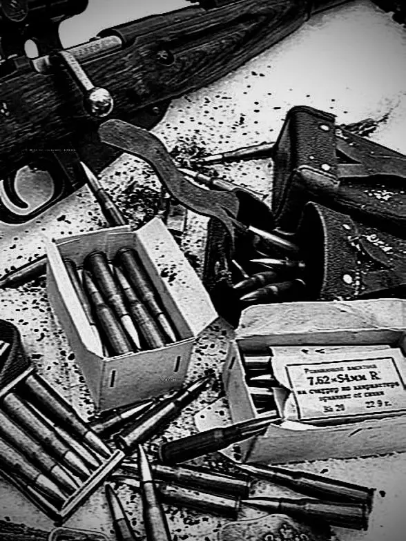 FestalAlert1454의 Броня Зайчик