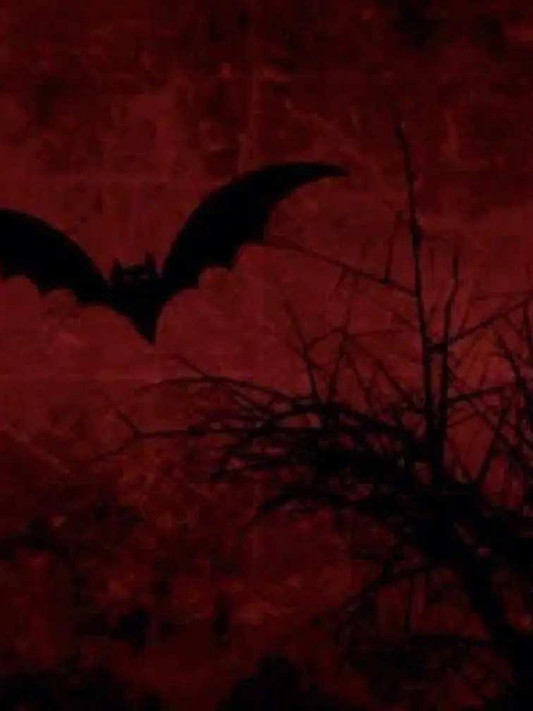 TimelyClock4005의 愛しているから、血をもらう