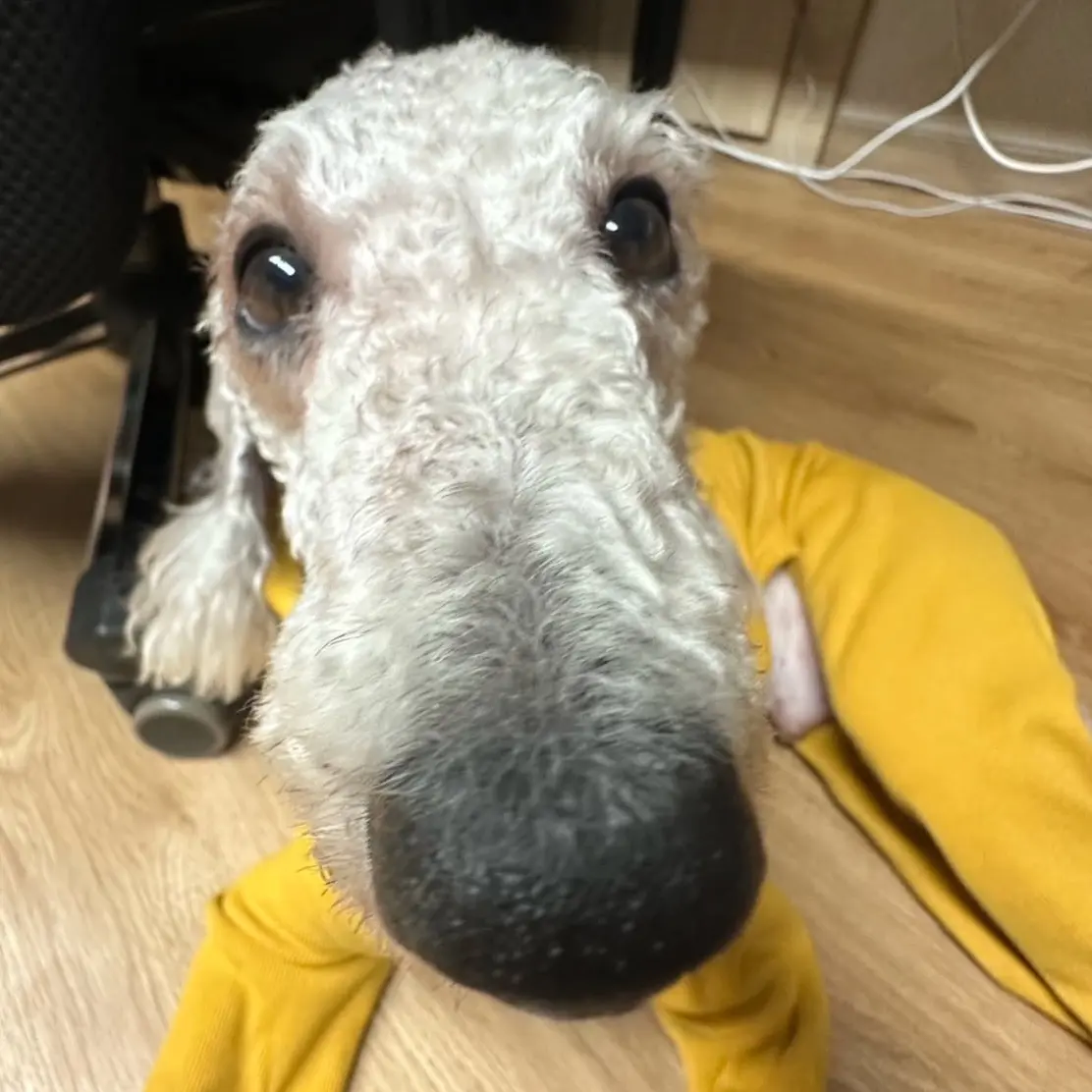 Hotsause_의 핫소스💗