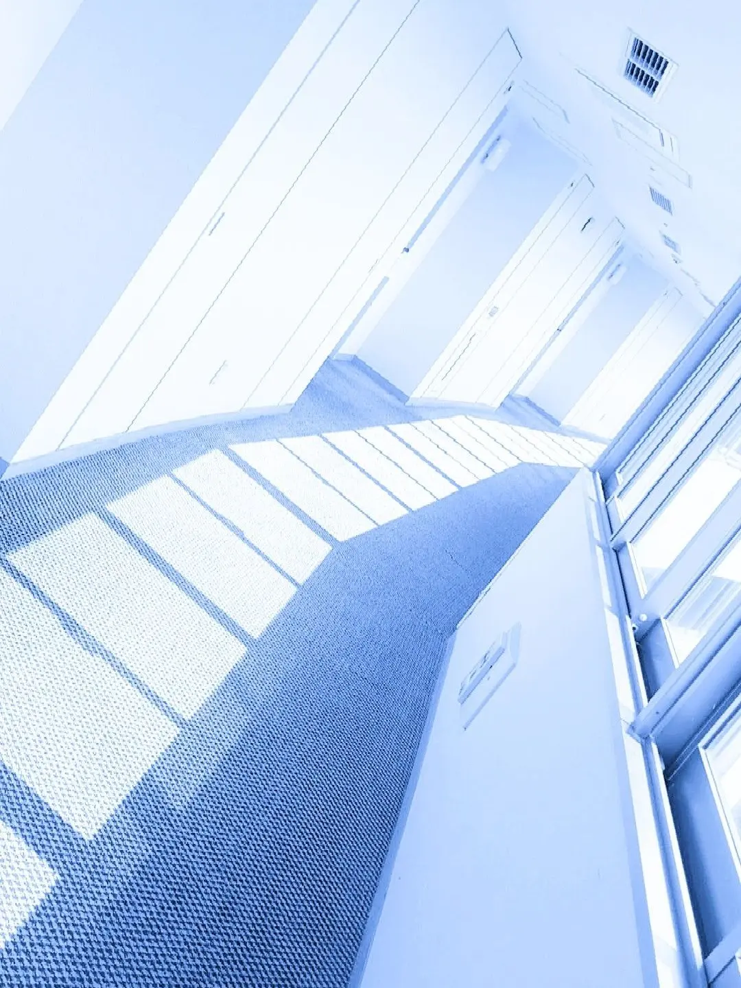 JerkyGolf3559의 裏と表.ᐣ