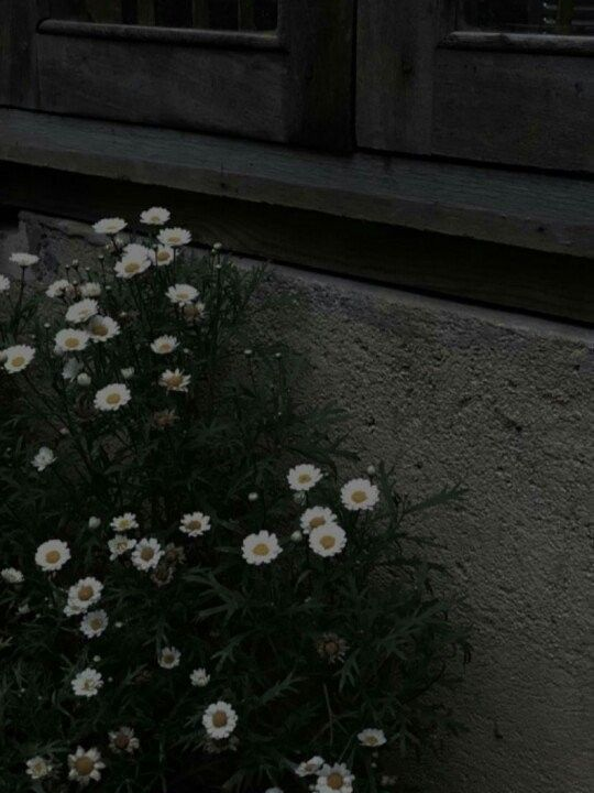 “..새 장난감?” 대표 이미지