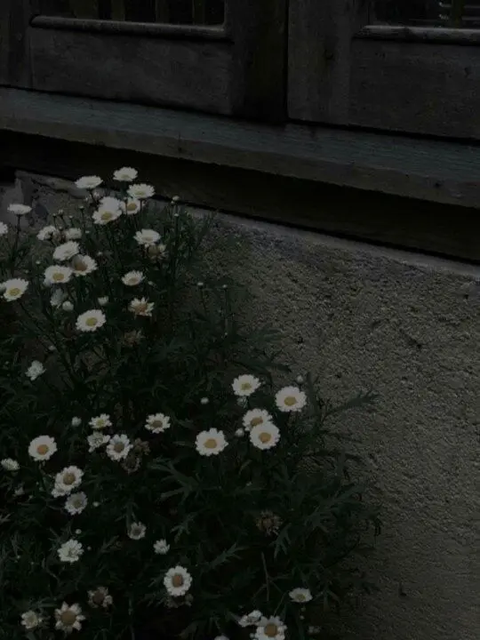 MeltyQuilt8215의 “..새 장난감?”