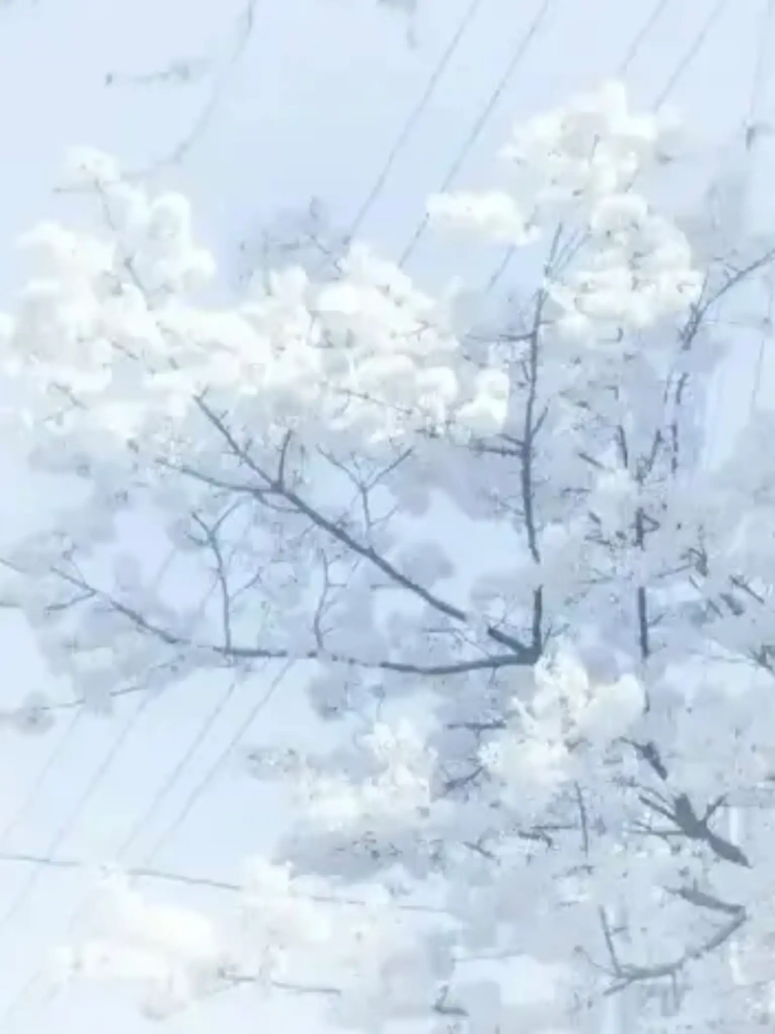 Phang_ram_1102의 미스터리 수사반 1기