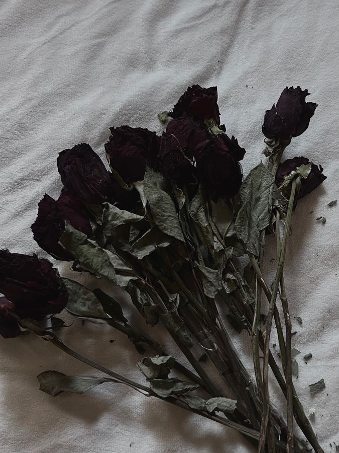 鏡花水月 (경화수월) 대표 이미지