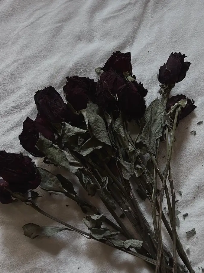 DeepPlug4143의 鏡花水月 (경화수월)