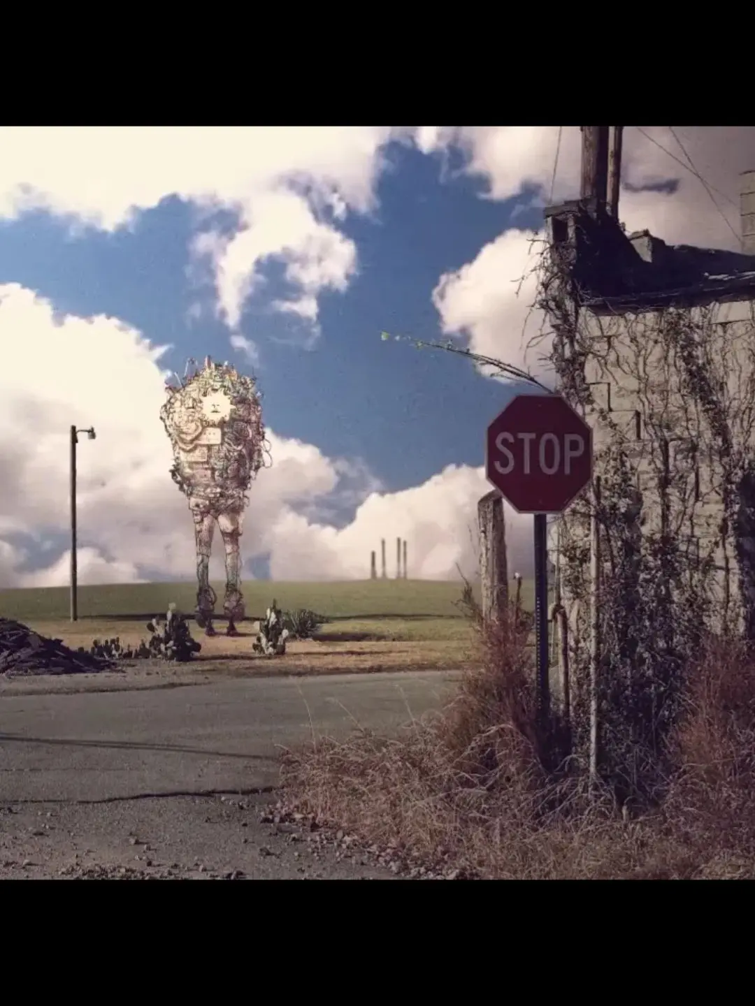 Ilikedinosaurs.의 .