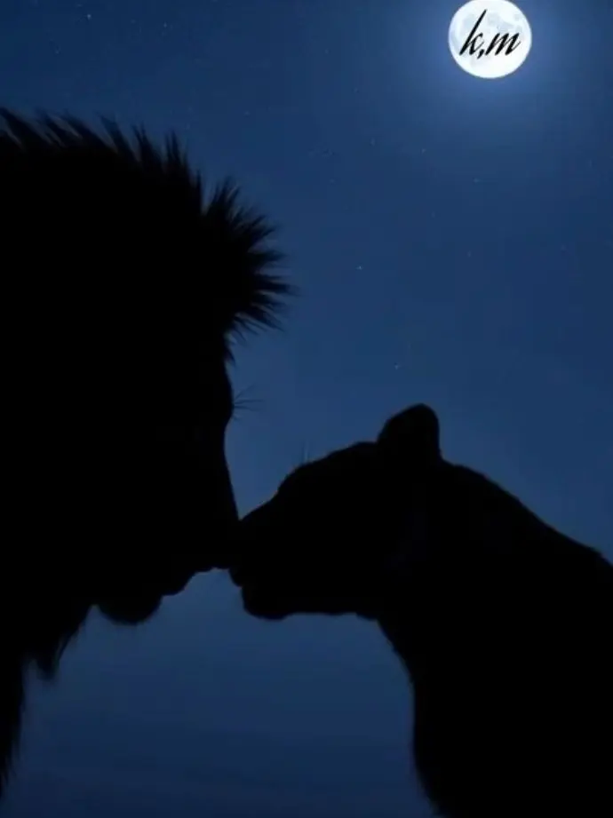 Yu_Di의 : : Lion Pride : :