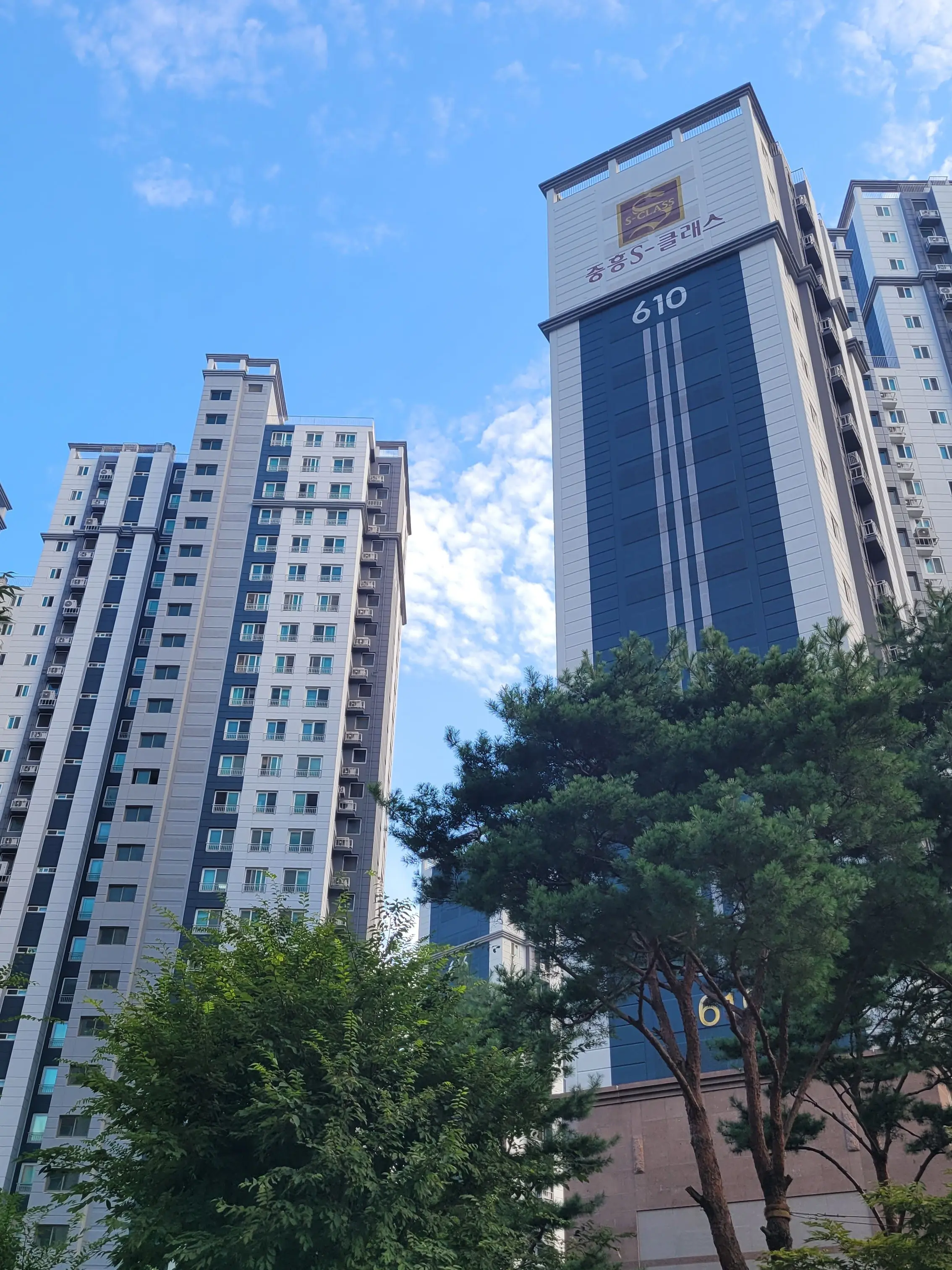 DearHoops9561의 당신은 고등학교 교사 입니다!