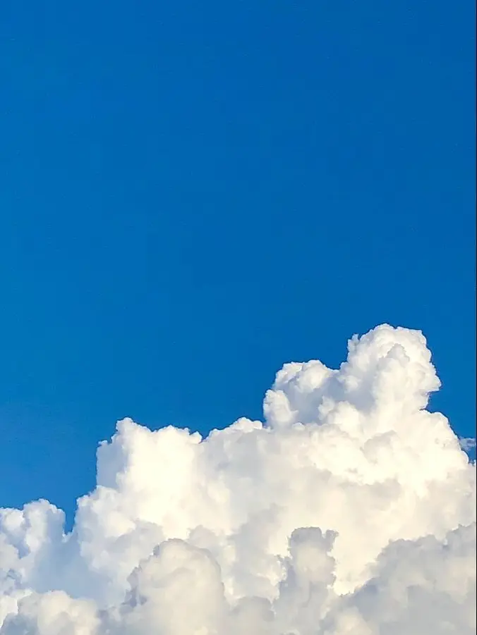 ScenicYak5018의 은빛 꼬리의 푸르른 계절