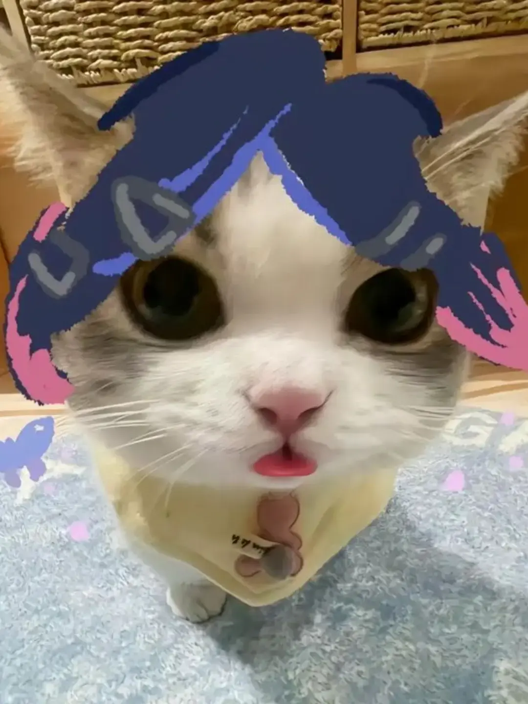 vllt의 발로란트 학교