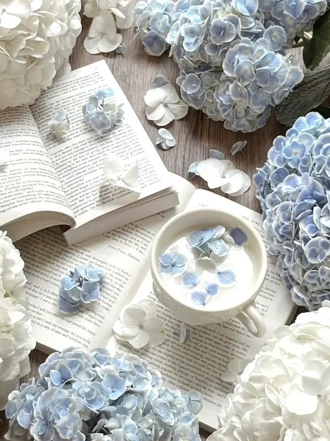 LeanerFez7723의 다파학 민트🍼