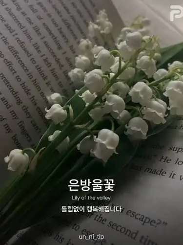 INEEDBND의 일진오빠들 (f6)
