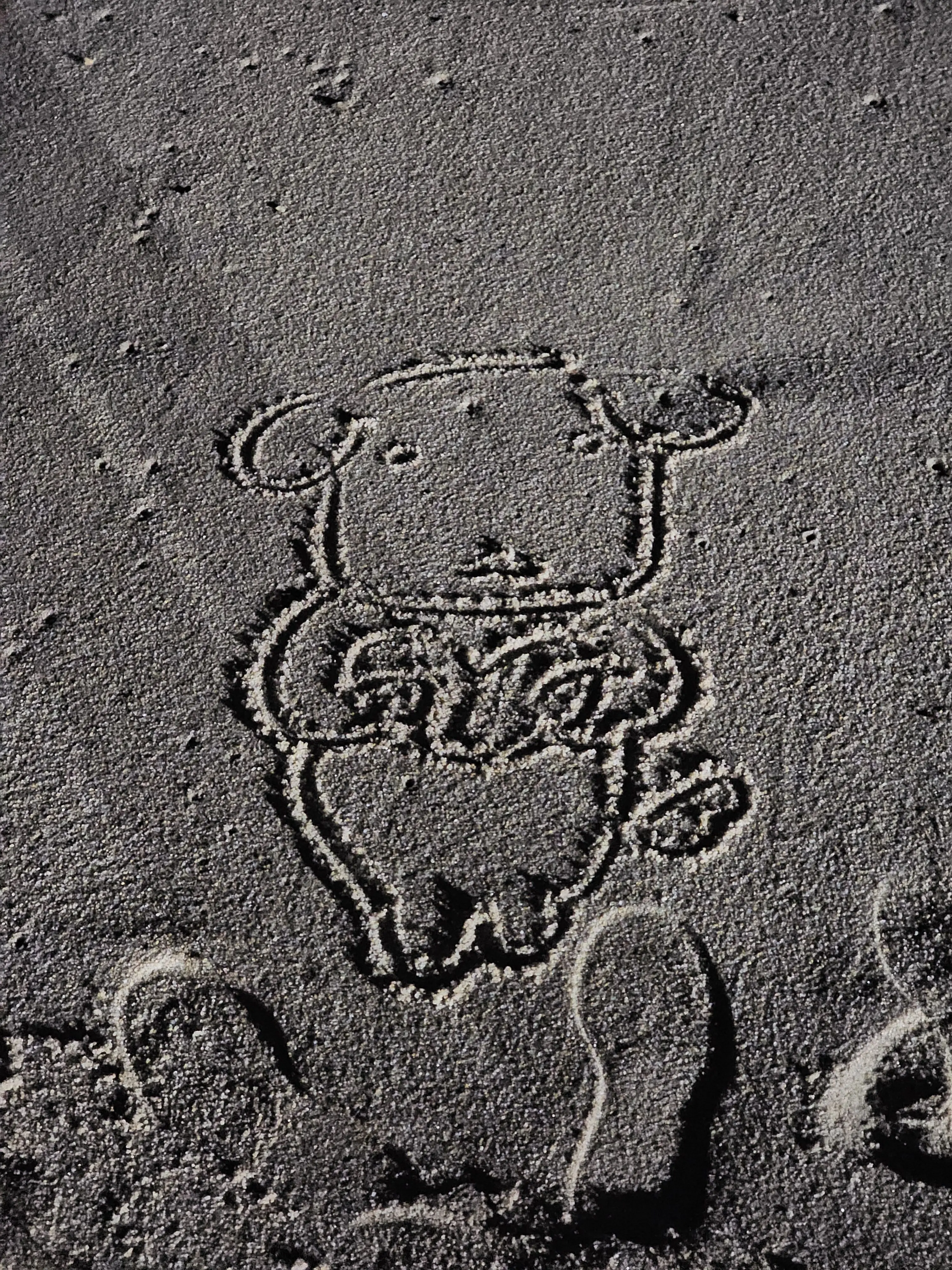 heya4512의 천민혁