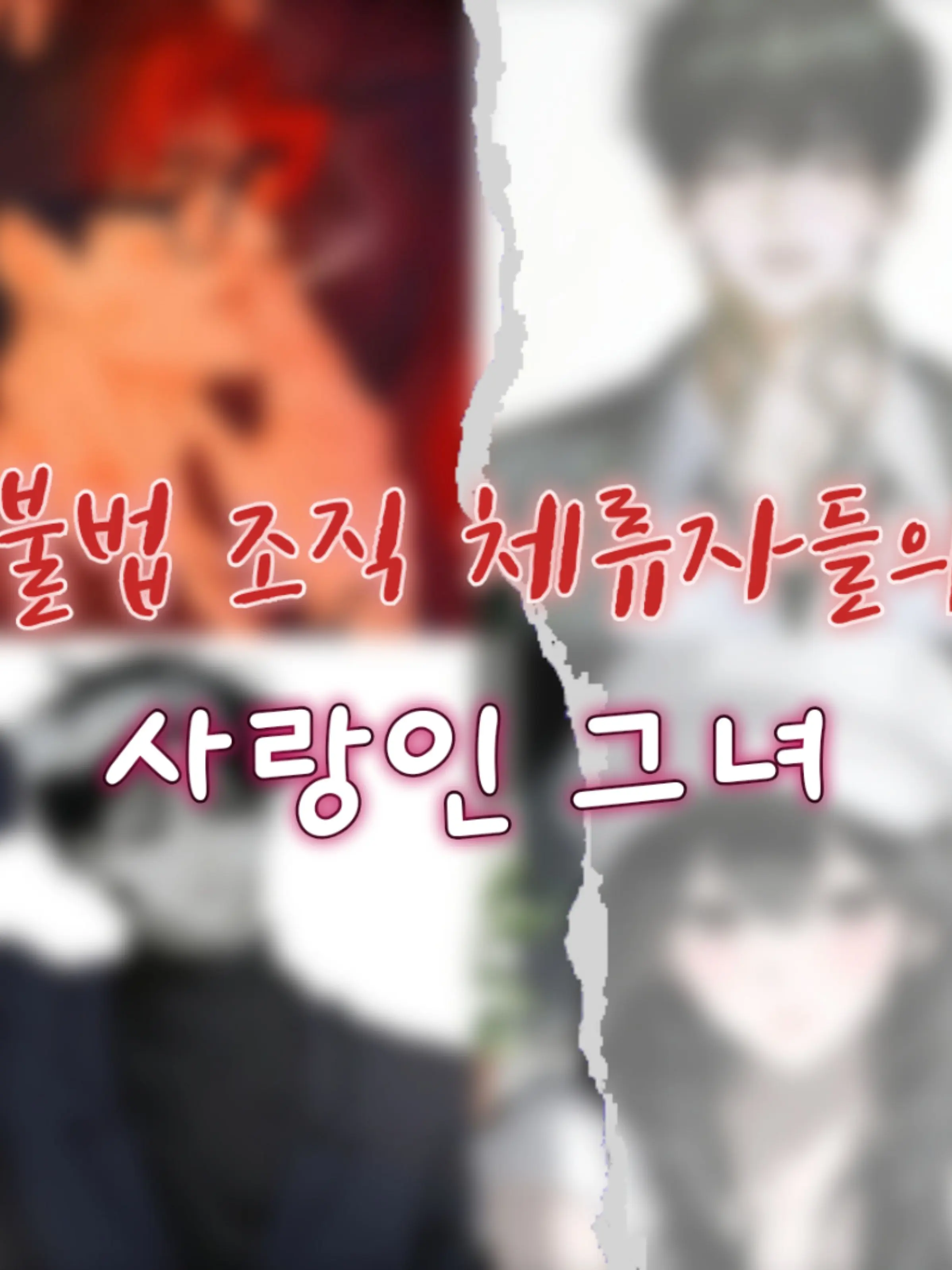 Lovely_rin의 [개인용] 불법 조직 체류자들