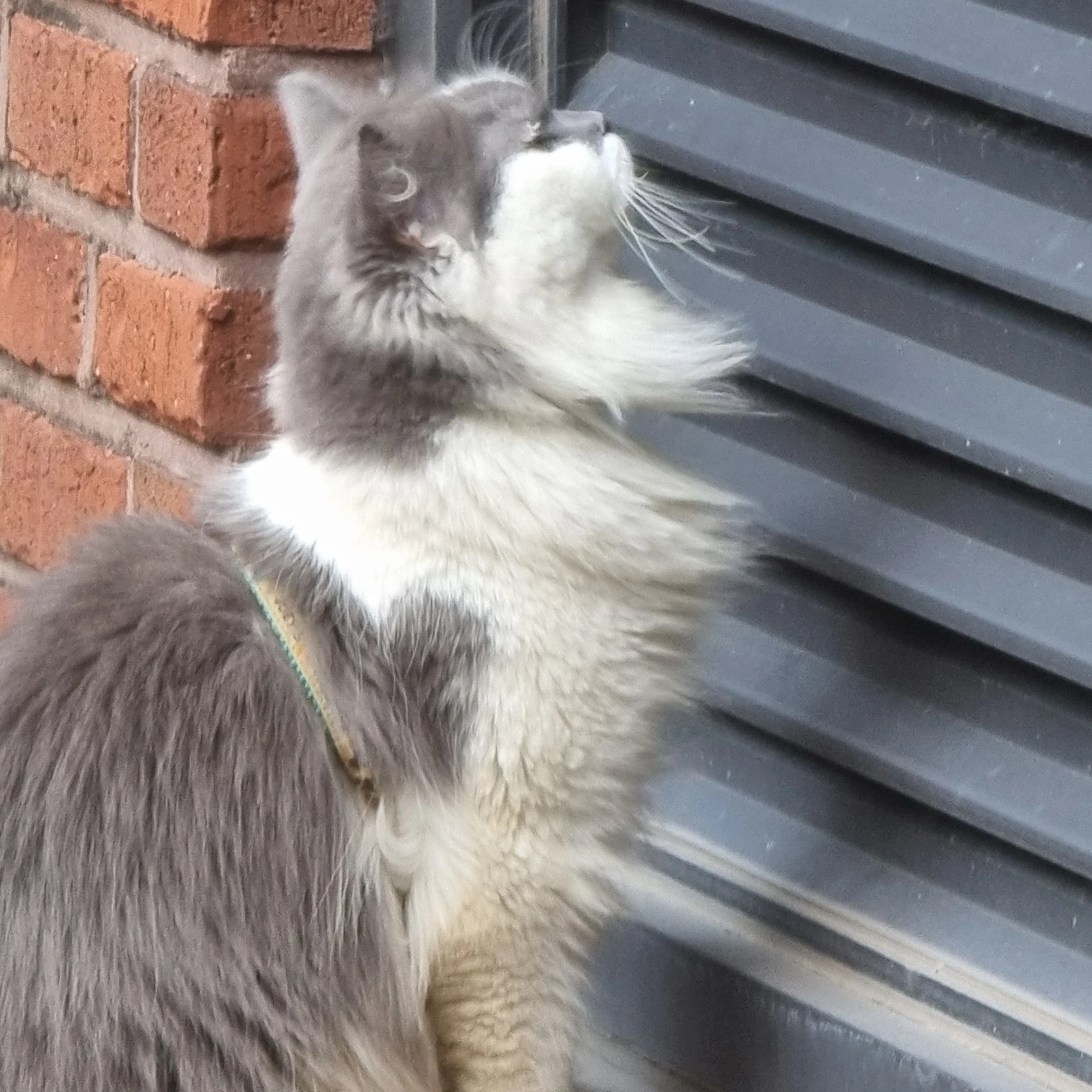 신청이닷! 똑겉은 사람! 와우!!!