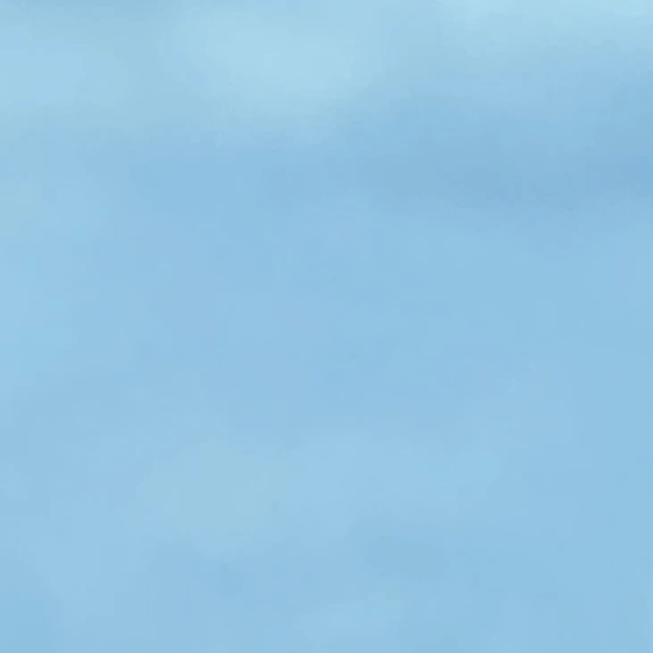 박차은