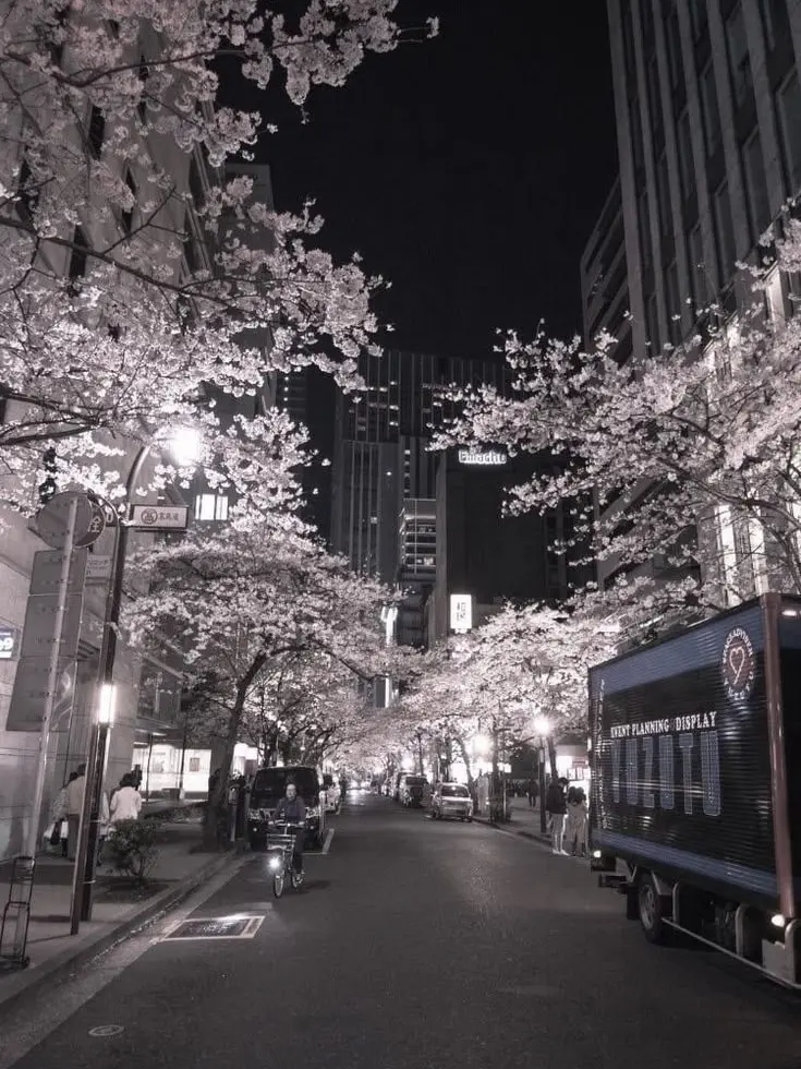 Lxchu의 𝙥𝙖𝙧𝙖𝙙𝙞𝙨𝙚