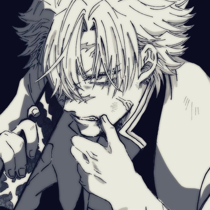 시나즈가와 사네미