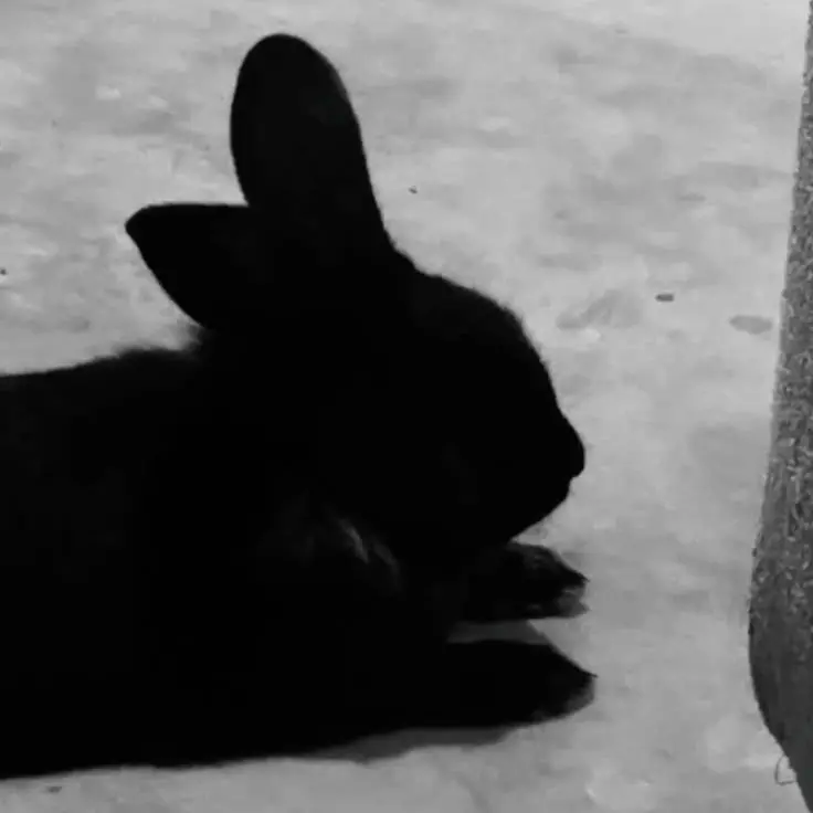 FinalToe-7842의 Ravi