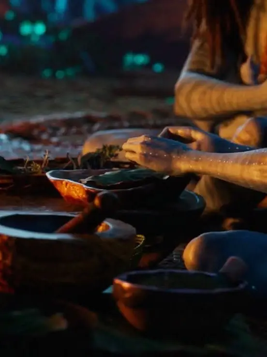 CozyCarp2298의 Navi Mate