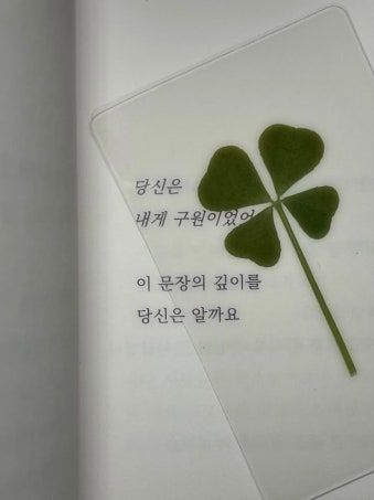 배신당함 대표 이미지