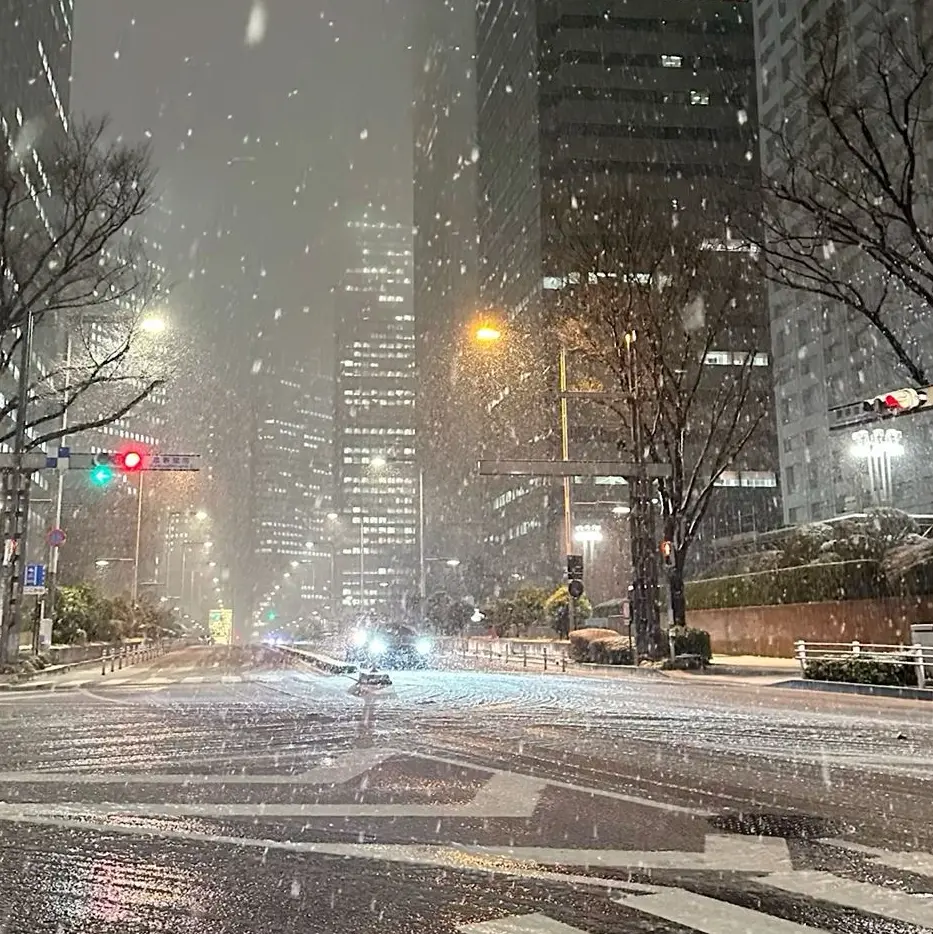 com.mero의 冬 の 君 。