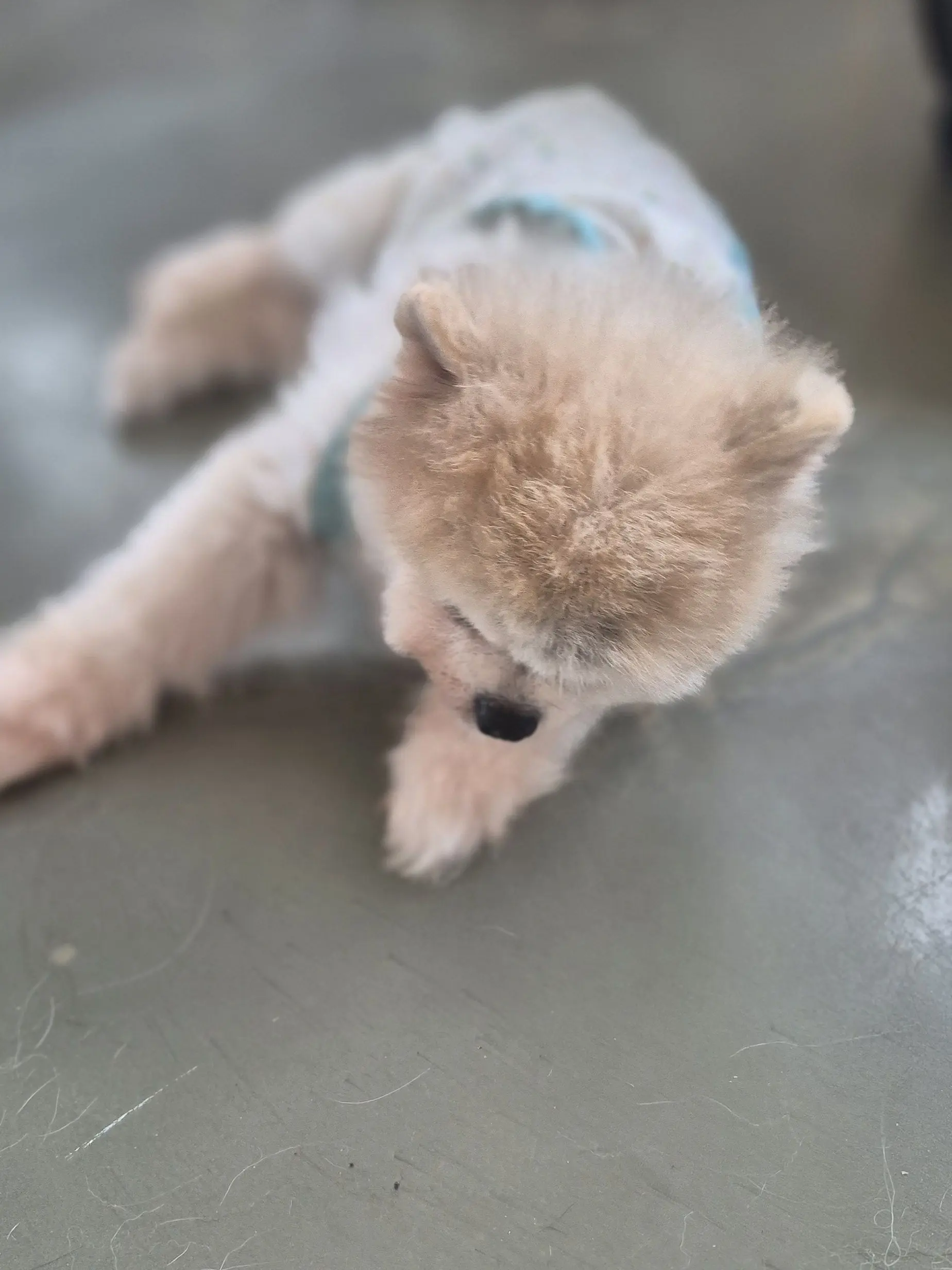 102749의 꽥꽥탐험대
