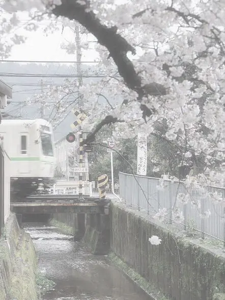 RacialLemon9371의 痛いもの、痛いものが飛んでいけ