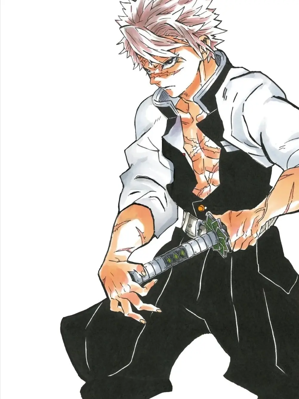 MaleSkunk0278의 シナズガワ サネミ.