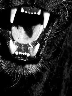 joahae_0.0의 건랑