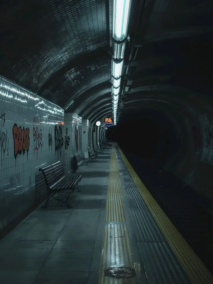 seoltang0092의 「🚇 막차가 사라진 역」