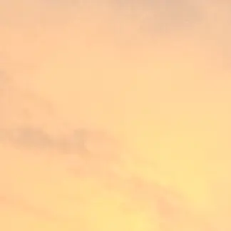02110501의 평학과 키못방에 갇혔다..?
