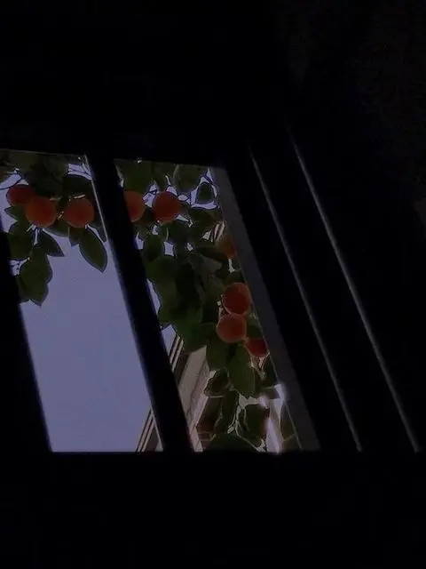 meview의 ㅤ