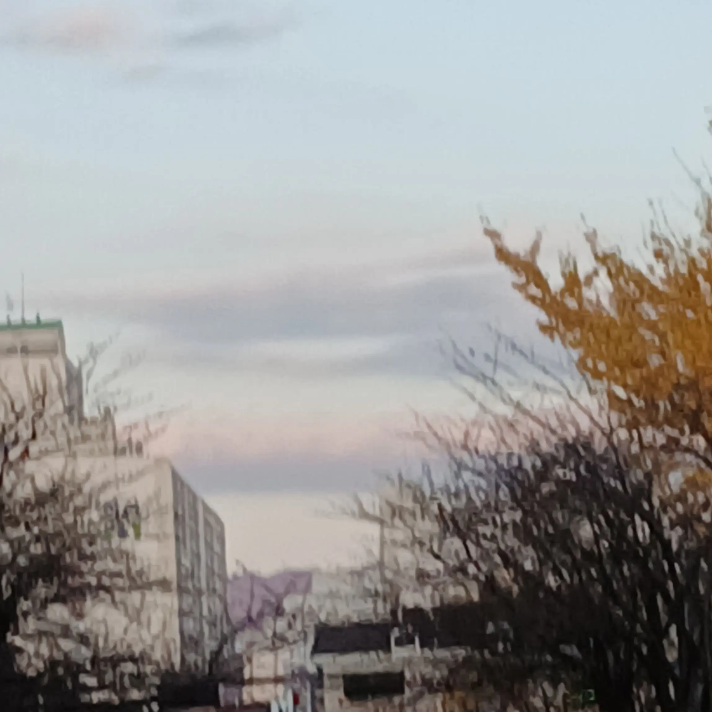 SicklyWolf8977의 꽥탐 [ 타코 안 넣었습니당, ]