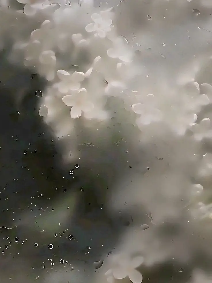 decadent.romantic의 隻愛