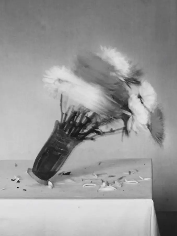 decadent.romantic의 隻愛