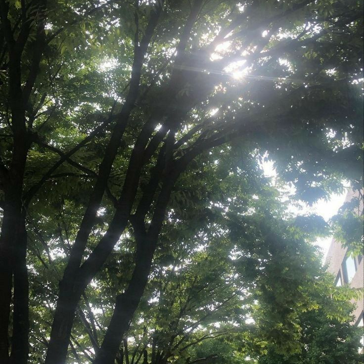 황현진 대표 이미지