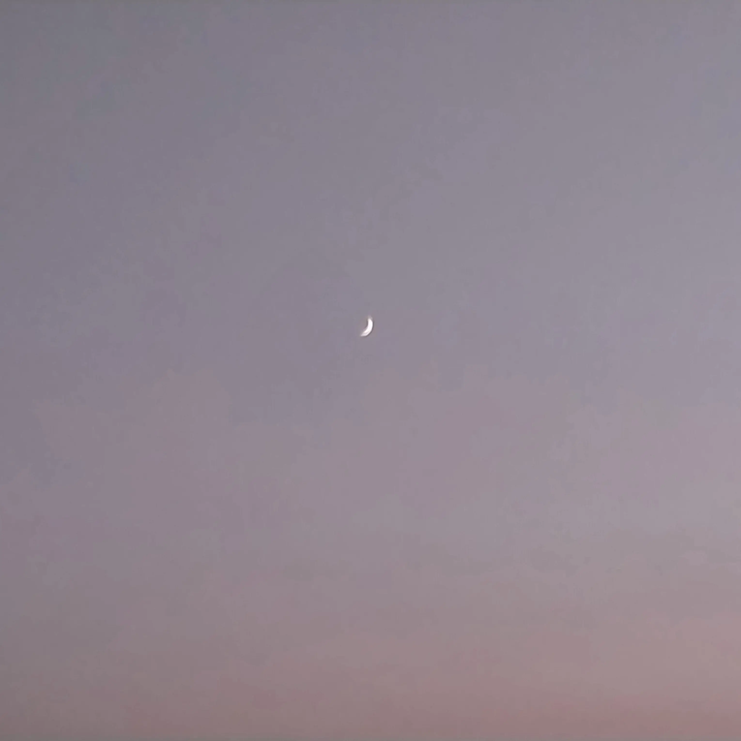 ToggangRabbit의 레전더리 학교+여우