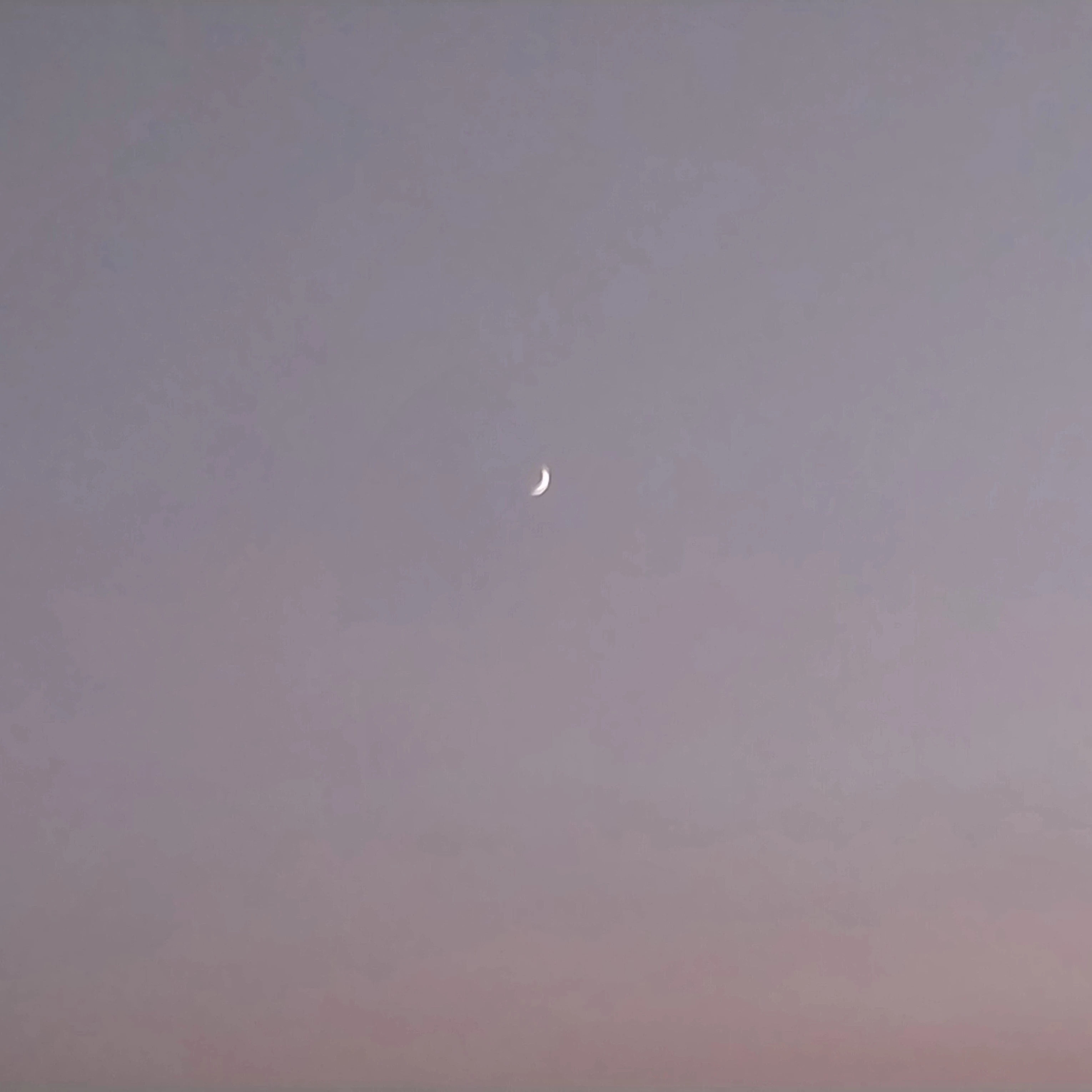 레전더리 학교+여우