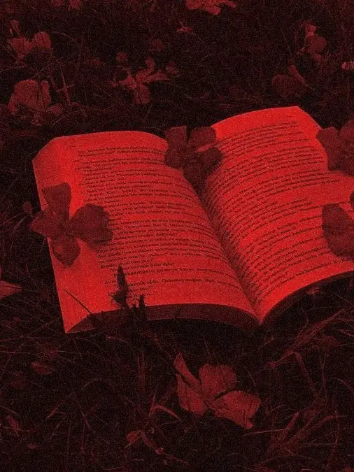 Meo_Yum의 팀샐수사반, 사건 해결하러 출동..?