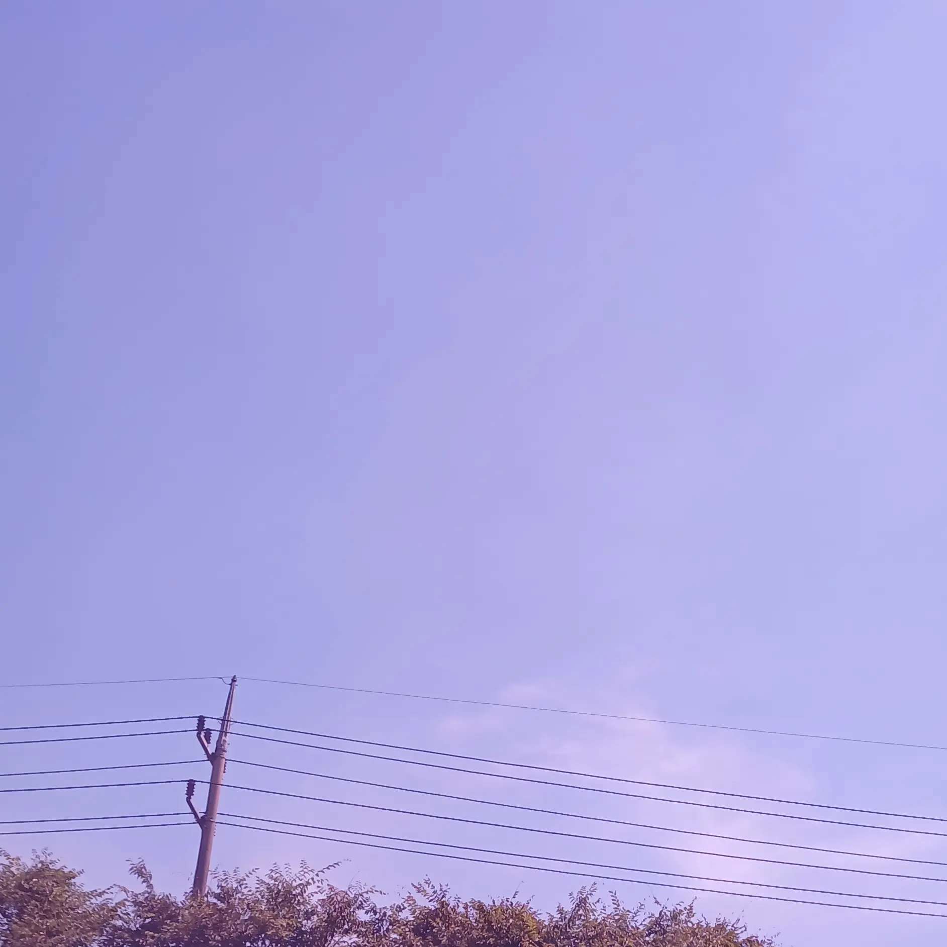 jackiscat의 감제이