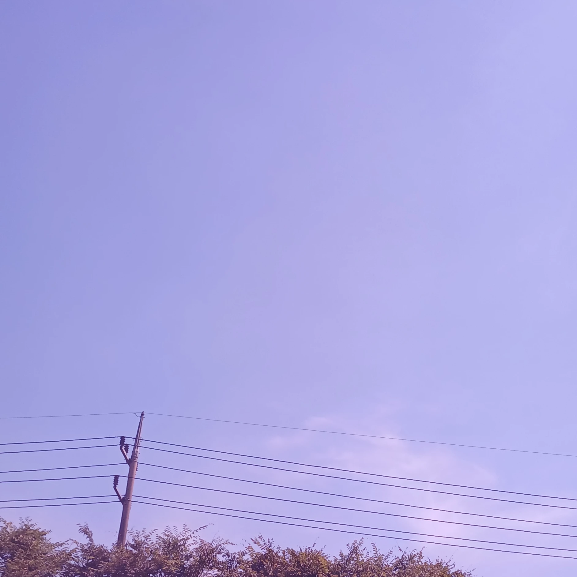 감제이