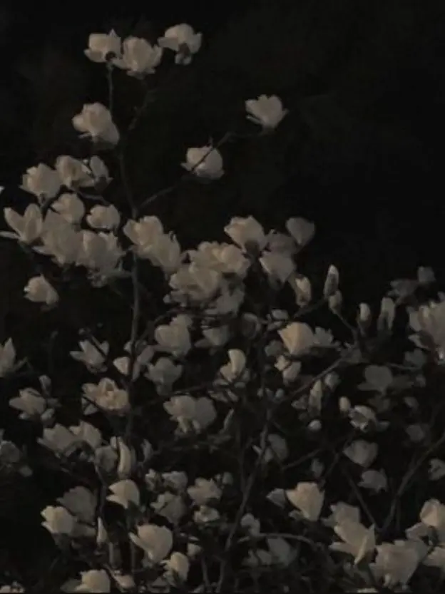 Space_dust928의 입양가정