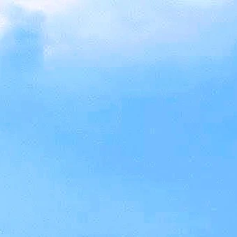 数年ぶりの再会