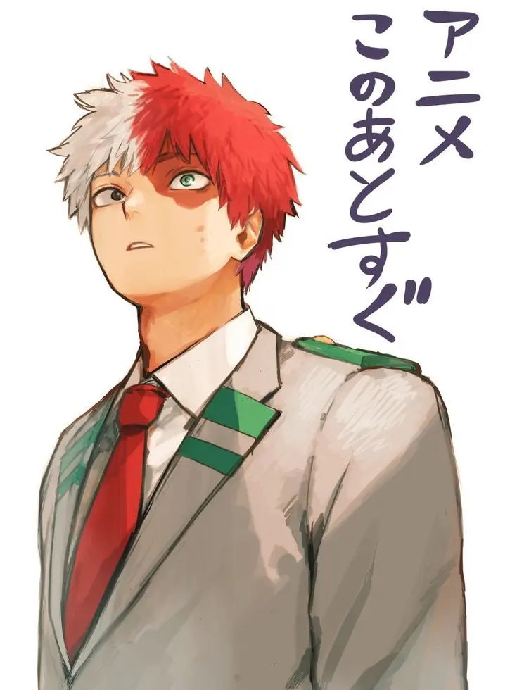 Novachanz의 Shoto Todoroki