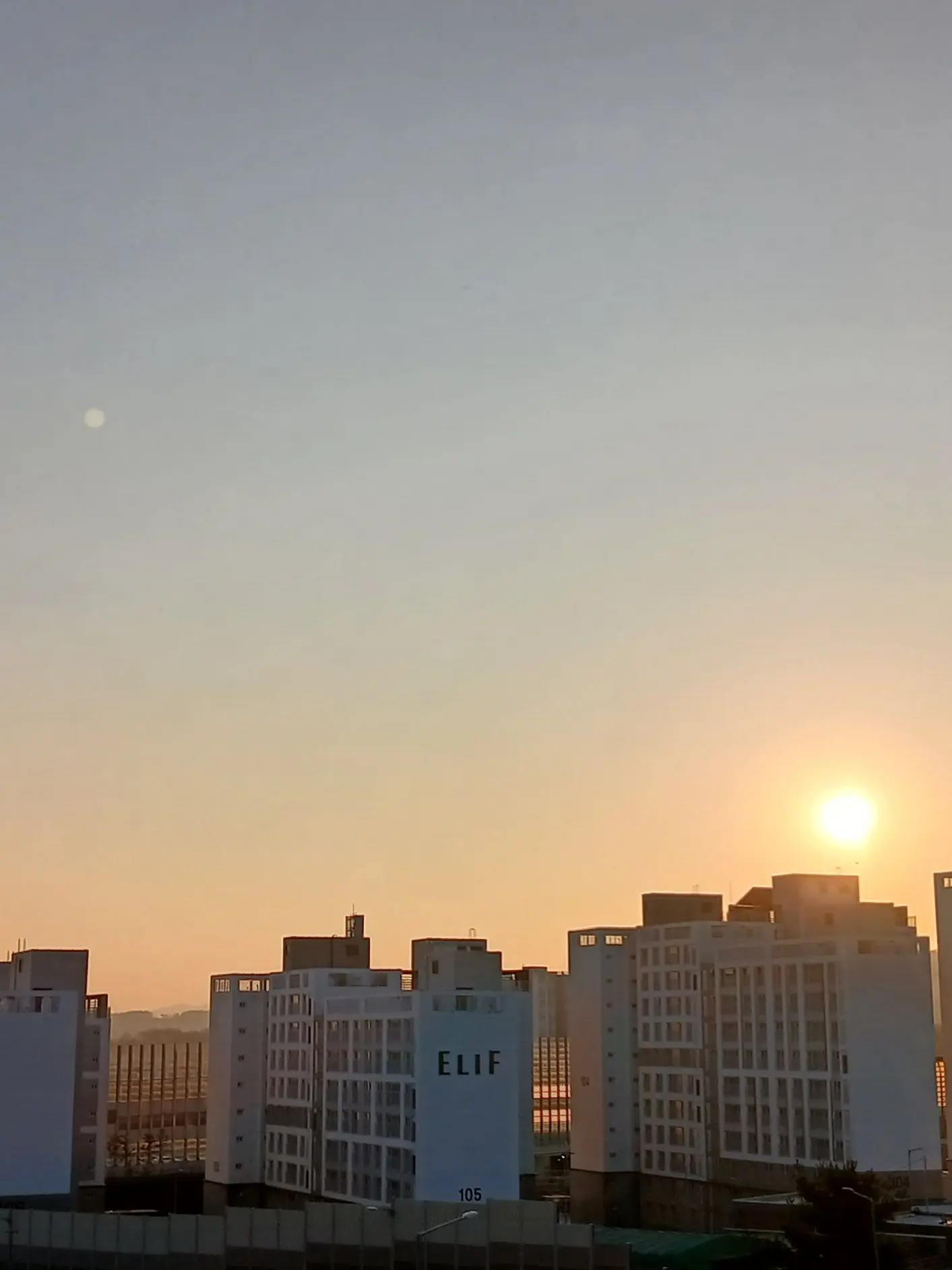 BreezyGrass6199의 팀나빠조직