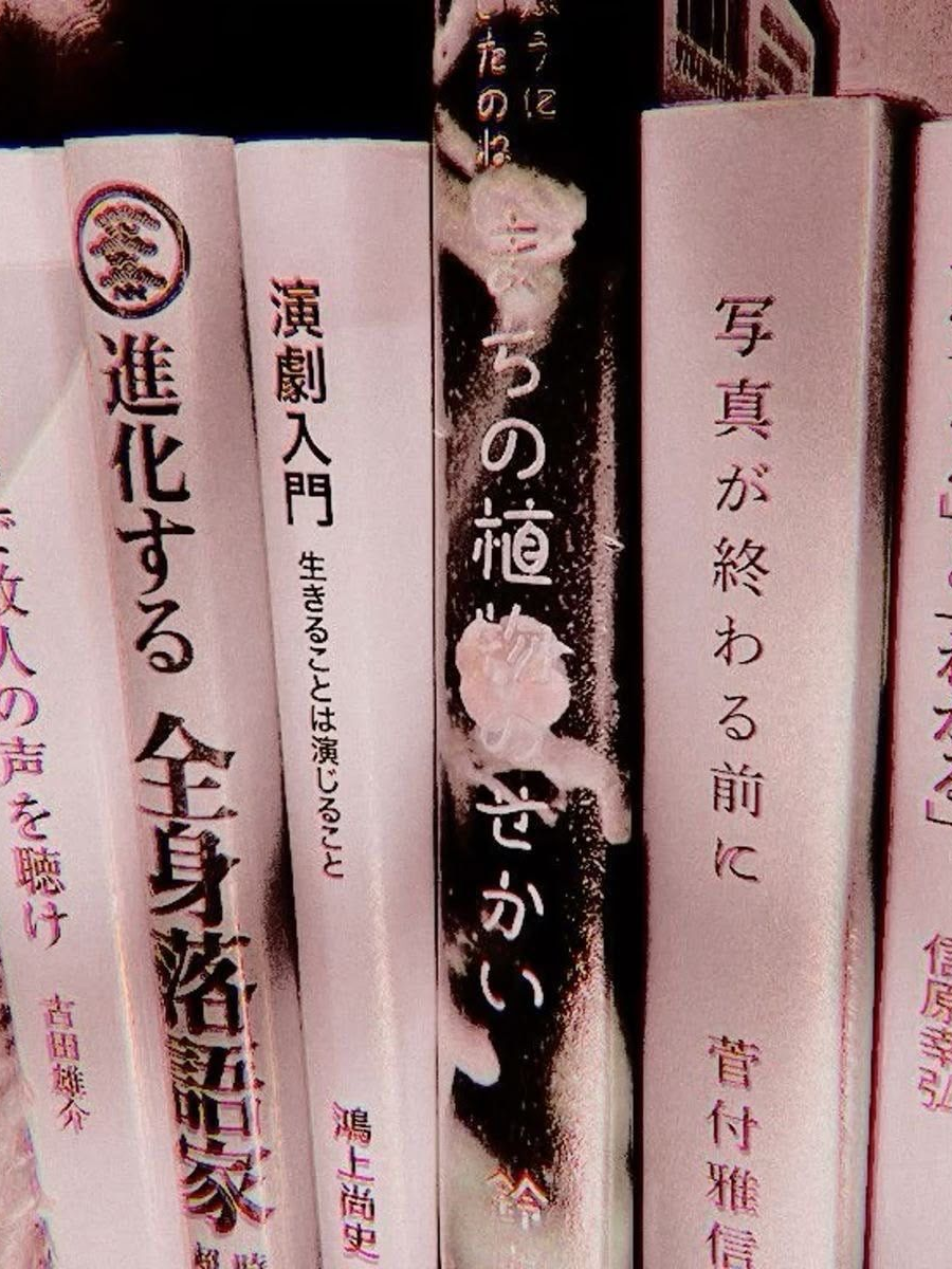 宇然 대표 이미지